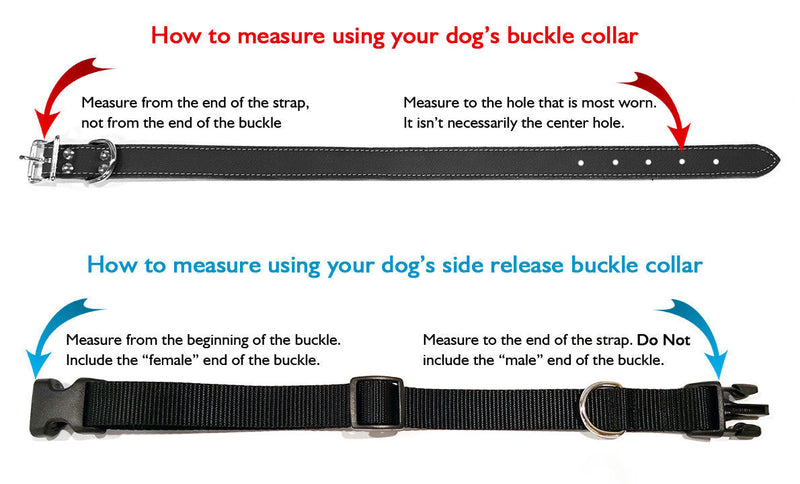 Albuquerque Polyester Webbing Dog Collar with Laser Engraved Personalized Buckle - Flying Dog Collars